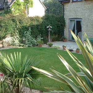 landscaped-back-garden